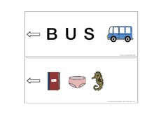 Bus.pdf